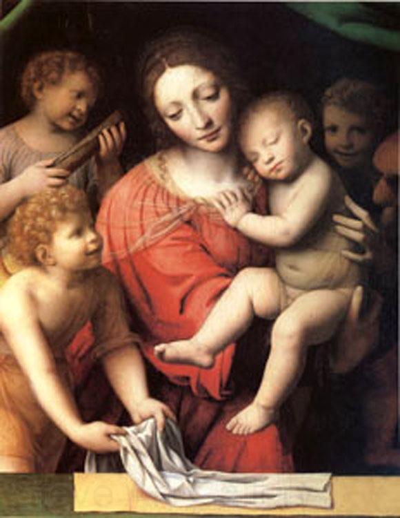 Bernadino Luini The Virgin Carrying the Sleeping Child with Three Angels (mk05) France oil painting art